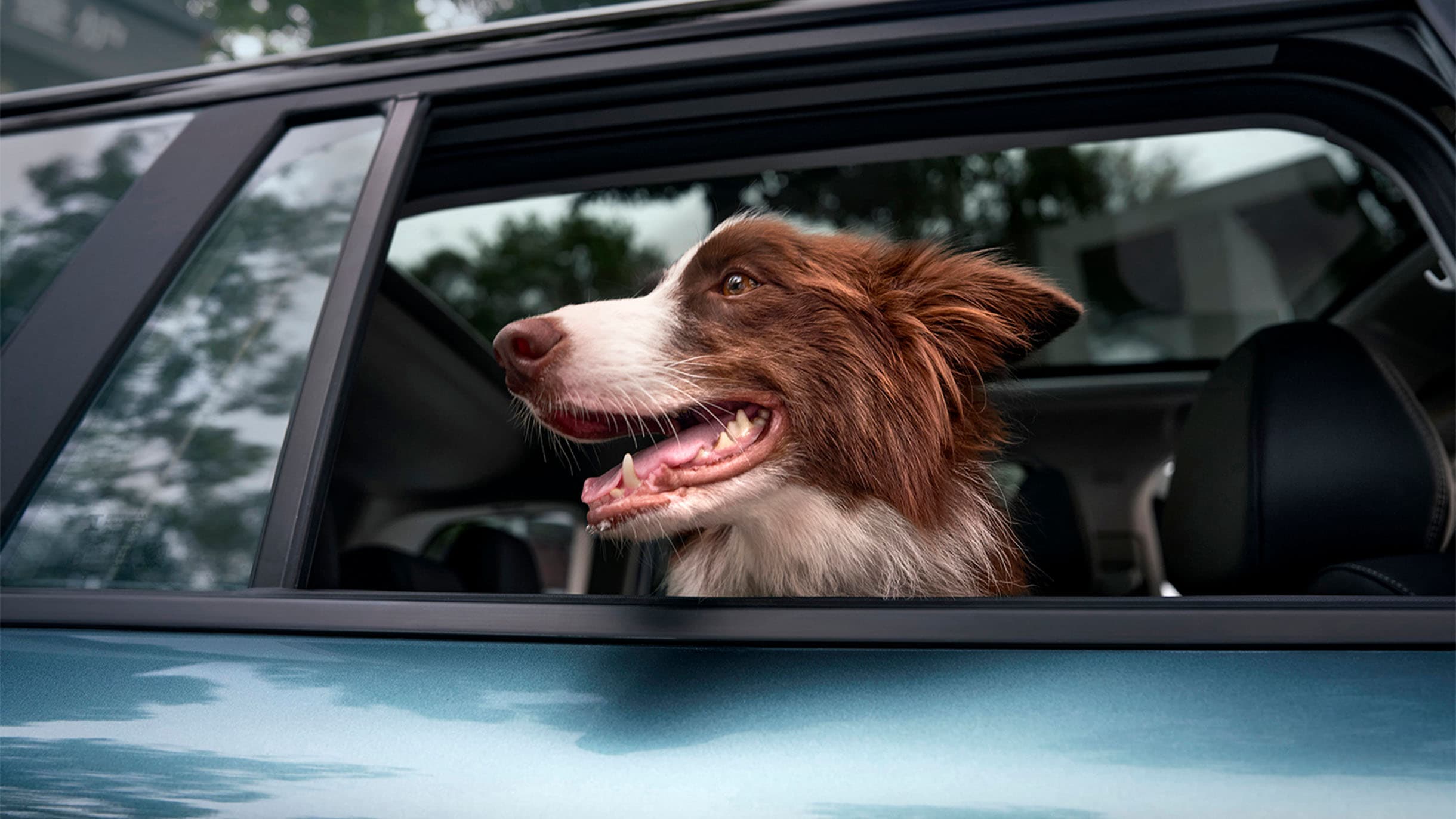 JAECOO J5 EV perfekt til køretur med hunden